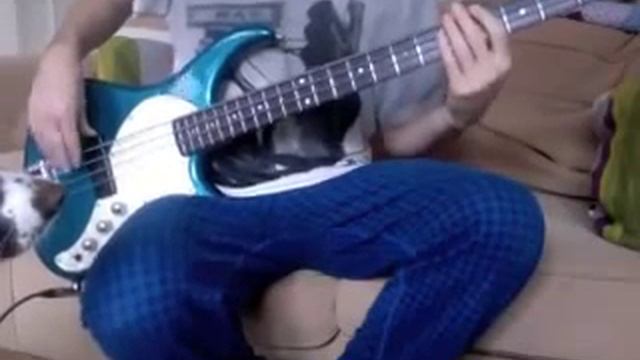 Reel Big Fish - Sell Out bass cover смотреть онлайн