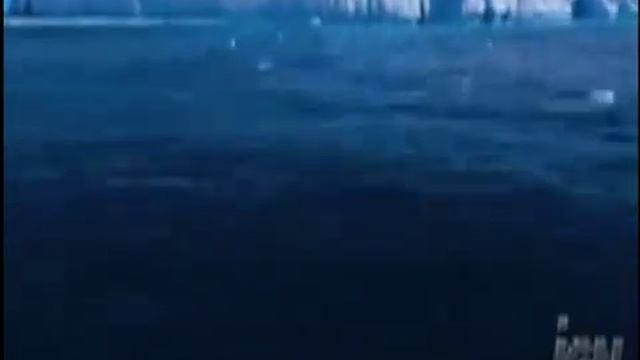 Dansul Pinguinului SUPER VIDEO-CLIP DJ TONY.avi