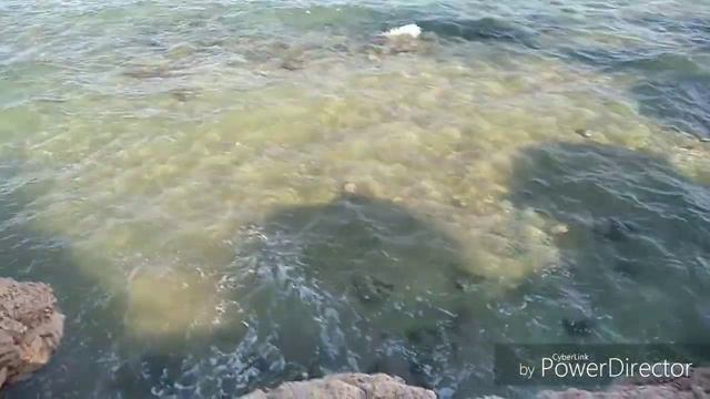 Island View Resort. Пантон, пляж, море...