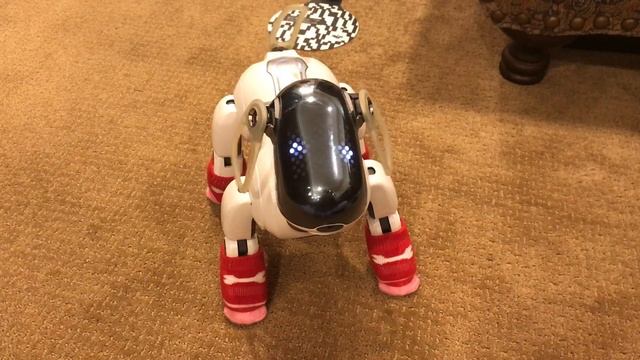 Aibo ERS-7 Default Mind 3 Dances смотреть онлайн