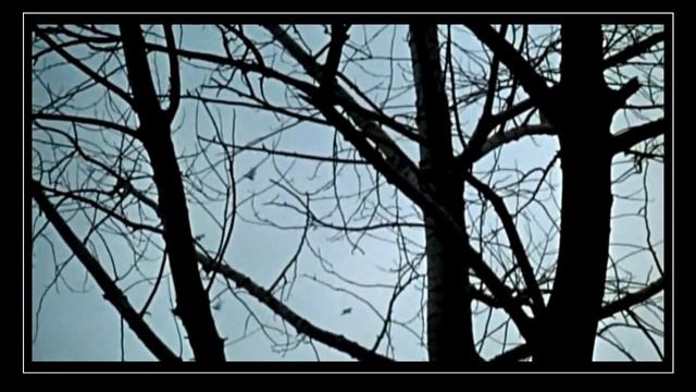 Ю.ОЛЕЙНИКОВ - СКАЖИТЕ... смотреть онлайн