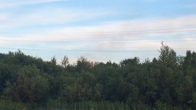 Цапля живет в парке ДК НТМК в Нижнем Тагиле смотреть онлайн