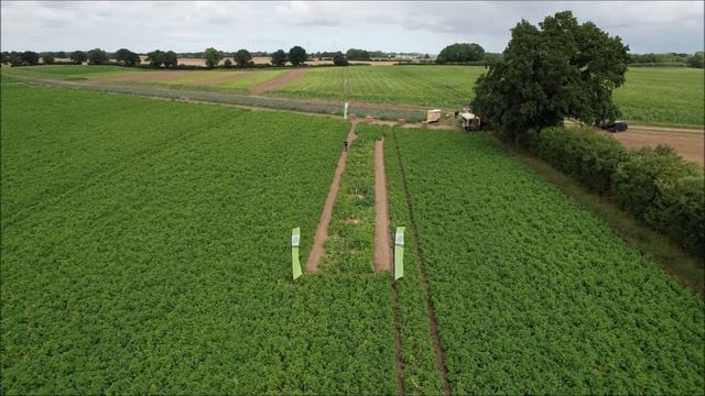 Feldtag Schirnau 2021 | EUROPLANT Pflanzenzucht GmbH смотреть онлайн