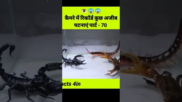 कैमरे में कैद कुछ अजीब घटना Ll #shortvideo