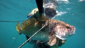 Подводная охота на горбыля с каяка на Чёрном море.