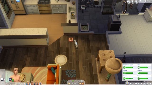 The Sims 4 "Времена года" #25 |  ВЕЧЕРИНКА У БАССЕЙНА смотреть онлайн