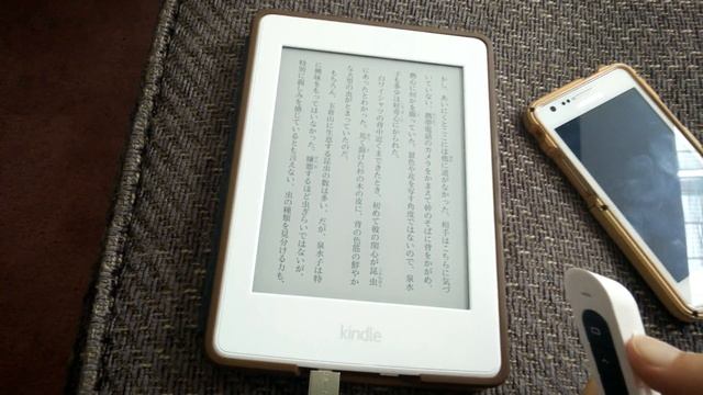 KindleLazy - Kindle Paperwhite wireless page turning (2016) смотреть онлайн