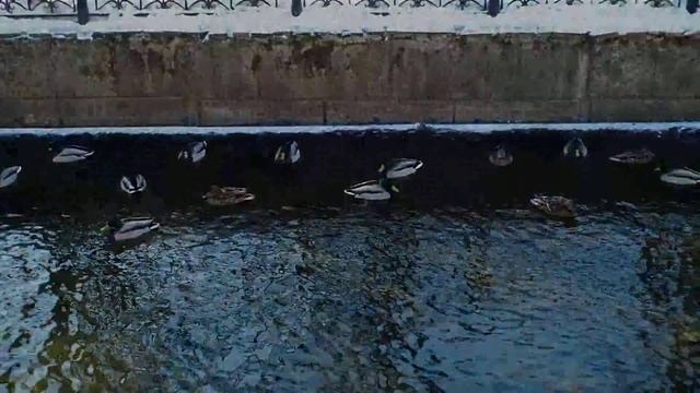 тест объектива ломо окс1 22 1 смотреть онлайн