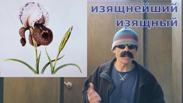 Ирис или Касатик (The Iris) смотреть онлайн
