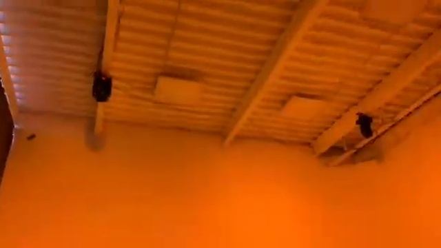 Цветной свет в зале Циклорама смотреть онлайн