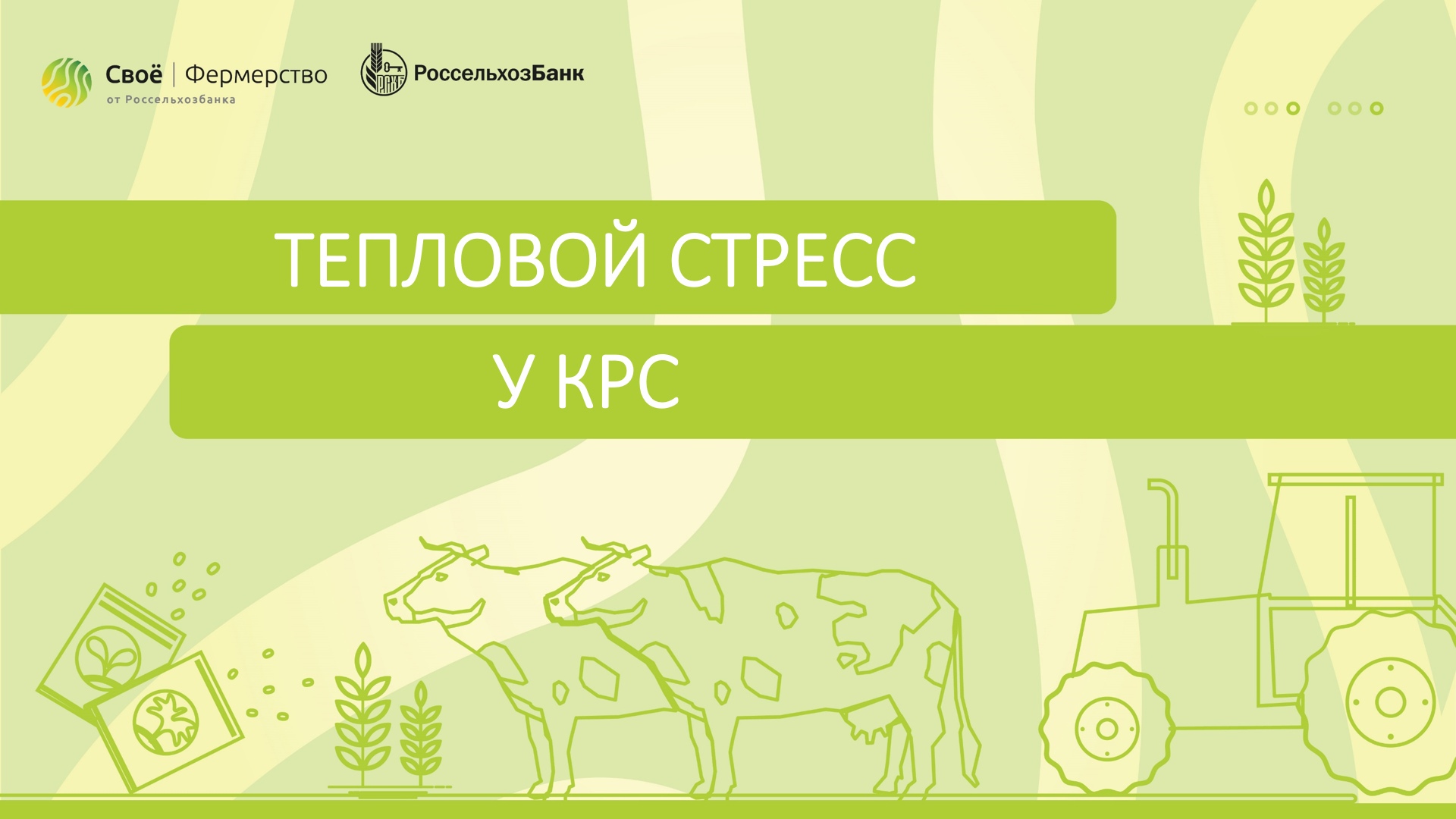Тепловой стресс у КРС