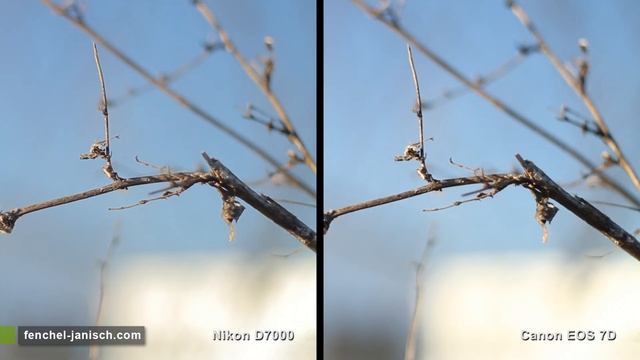 Nikon D7000 vs. Canon 7D: Photo & Video Comparison смотреть онлайн
