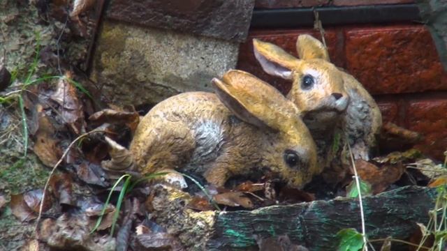 Эко-отель Хоббитлэнд наши впечатления смотреть онлайн