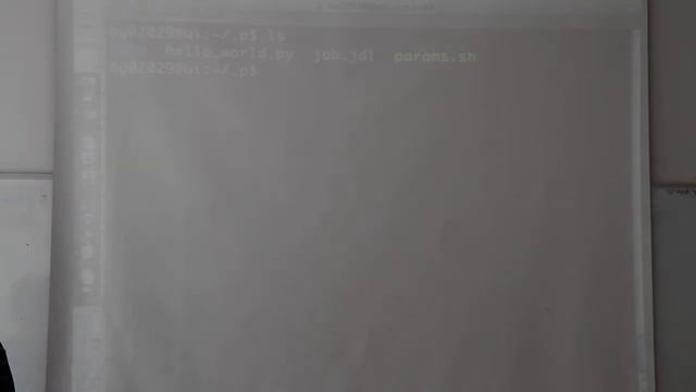 [PyCon LT 2012] VU skaičiavimo resursai Python aplinkai смотреть онлайн