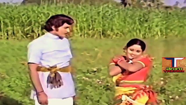 Challalamme Bhamanoyi Video Song Jeevitha Nouka Movie Songs | Sobhan babu |Jayasudha | Trendz Telug смотреть онлайн
