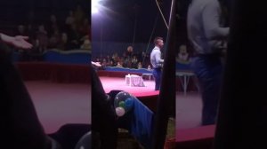 ЦИРК! ЦИРК! ЦИРК! ШАПИТО АЛЕ!