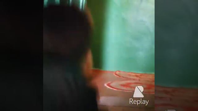 Видео из фотографий от рождения и до сегодня#Tim #тима #тимофей #омоемсыне #каквсеначиналось смотреть онлайн