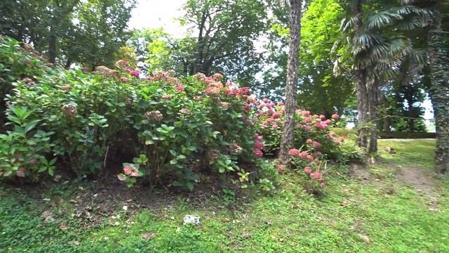 Фильмы Ужасов и Мистики