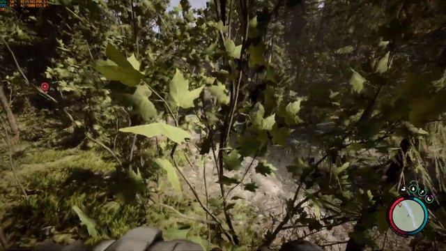 Sons of the Forest - Cannibal Farming смотреть онлайн
