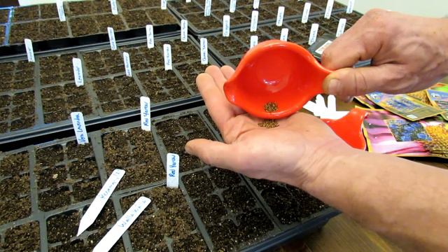 Seed Starting Basics: Sterilizing Your Mix, Thumb Packing Cells, Over-Seeding Herbs & Onions