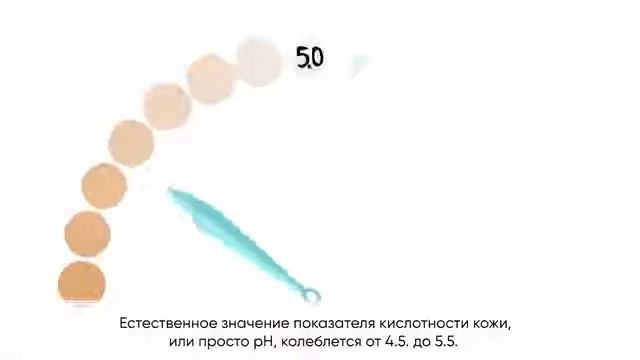 Biomica-серия для ухода за кожей . Очищение и баланс