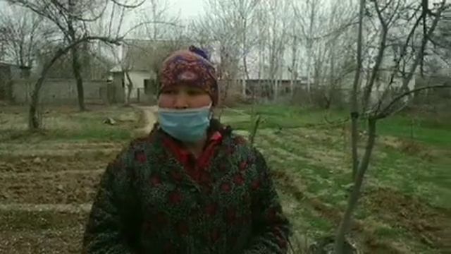 Qashqadaryo viloyat Nishon tuman "Janub Ma'shali" fuqarolari murojaati смотреть онлайн