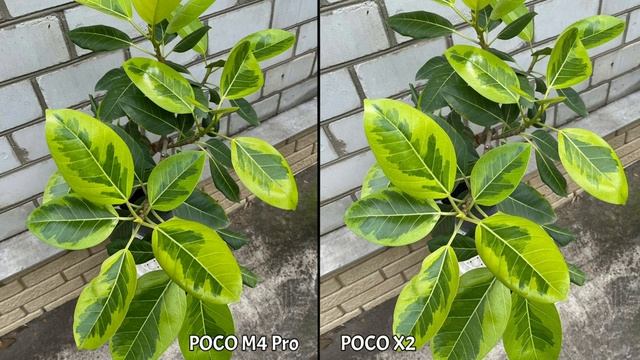 POCO M4 Pro VS POCO X2 Camera Comparison | POCO M4 Pro Camera Review, Gaming Review, Charging Test