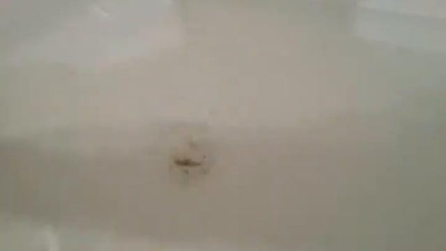 Эксперимент с воронкой в Южном Полушарии смотреть онлайн