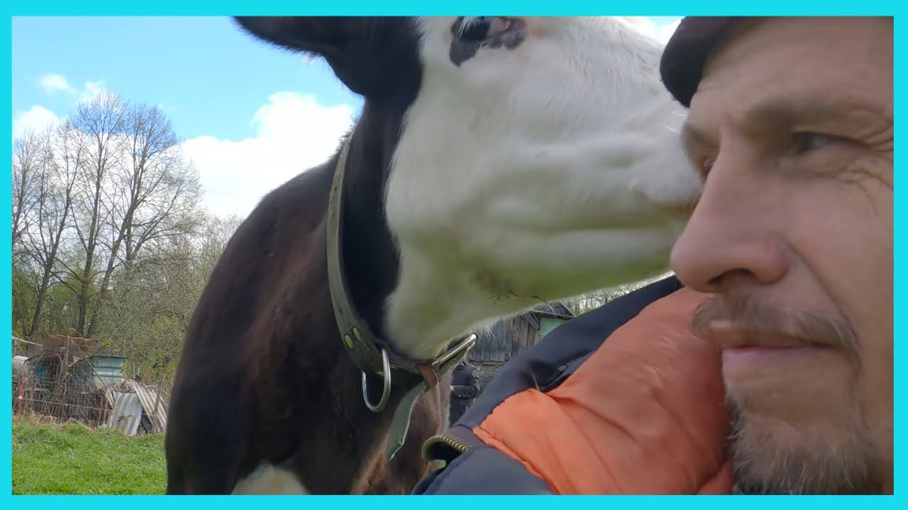 "Марту" вывели "в свет" и чисто деревенские дела и заботы хозяйства в деревне! смотреть онлайн