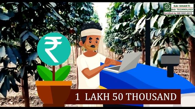 महोगनी की खेती कैसे करते हैं | Mahogany tree farming in Hindi | Tissue Culture African Swietenia смотреть онлайн