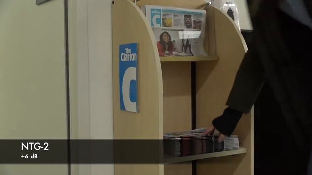 Microphone Testing, Tascam DR-40, Rode NTG-2 смотреть онлайн