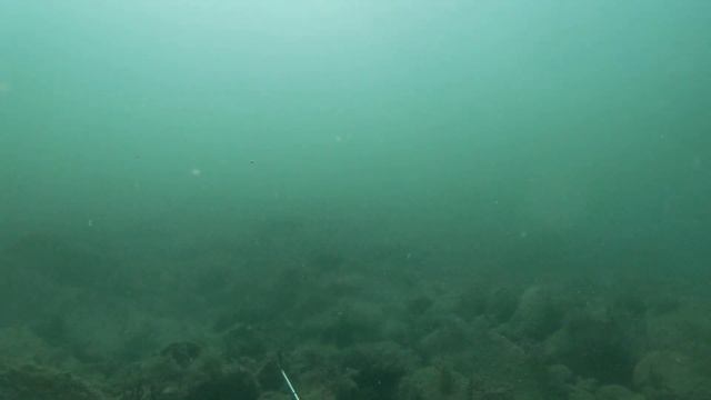 30 09 2022 подводная охота на черном море смотреть онлайн