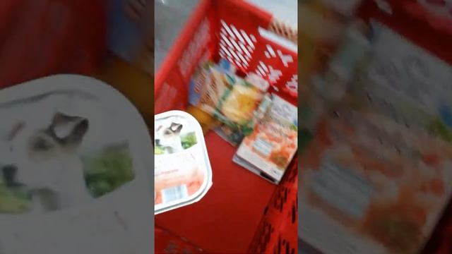 Закупка на заказ,торты смотреть онлайн