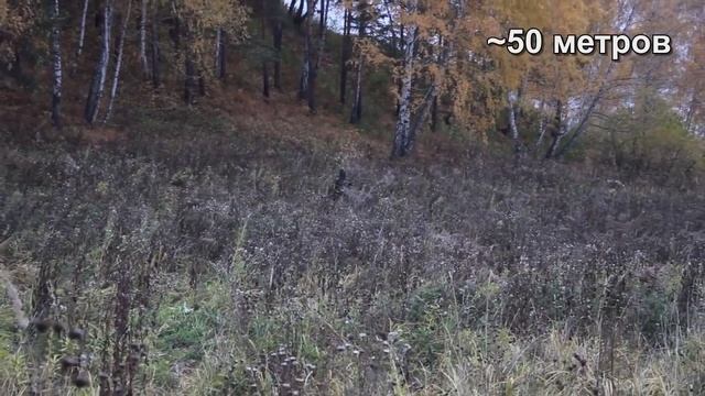 Камуфляж ру Тест камуфляжных паттернов Партизан, Сфера, Излом смотреть онлайн