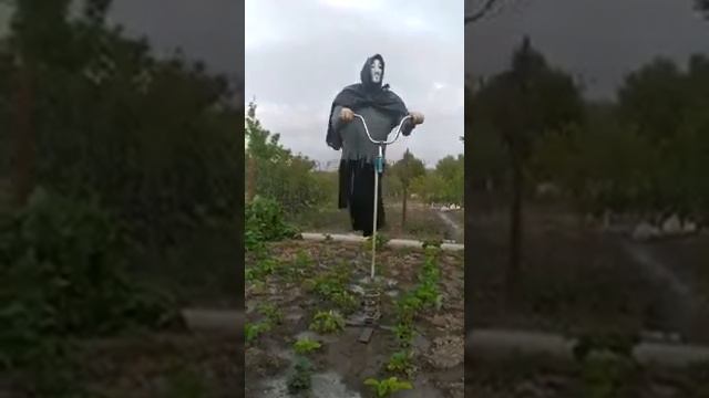 Самое страшное Пугало смотреть онлайн