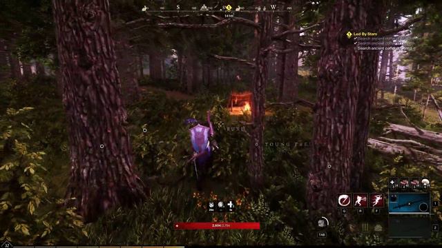 New World Side Quest: Led By Stars смотреть онлайн