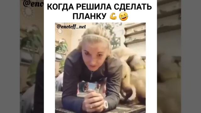 Ну разве не милашки!?)