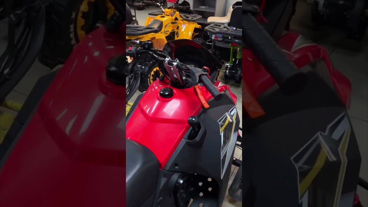 Обзор снегохода Woideal Барс WD 180 EFI от команды «Активного отдыха». Вкратце о характеристиках. смотреть онлайн