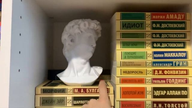 книжные полки || все мои книги!? смотреть онлайн
