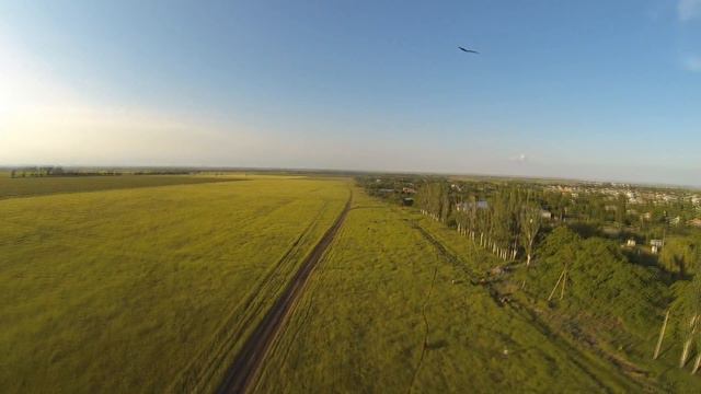 FPV с коровами :) смотреть онлайн