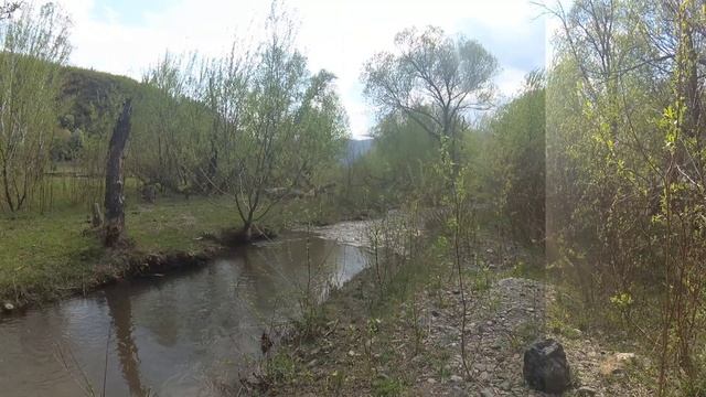 Relax Video / спокойный сон, горный ручей, успокаивающий шум воды