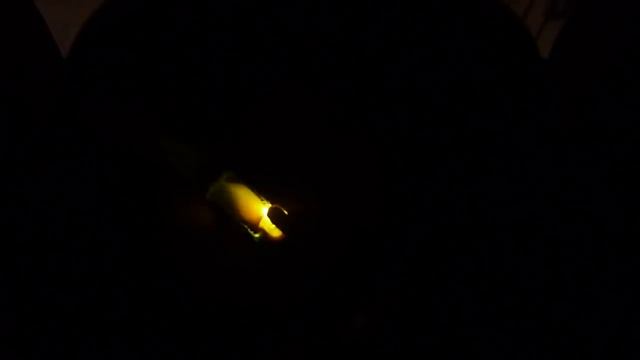 Сварка труб с очень большим зазором смотреть онлайн