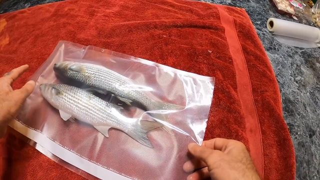 The Right Way To Freeze Catfish Bait смотреть онлайн