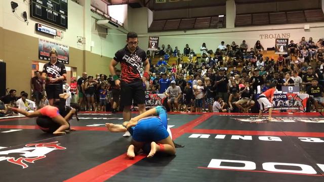 2017 - Emily Robins - 2nd match nogi смотреть онлайн