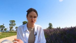 8 причин почему Словения НЕ идеальна