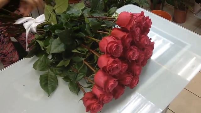 Доставка Роз в Мурманске. Роза "Черри О" смотреть онлайн