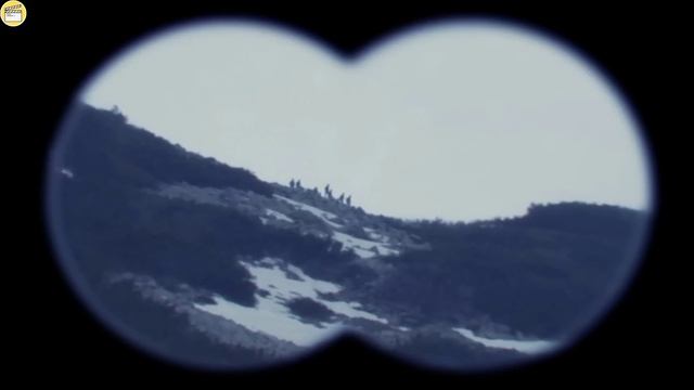 Elite Sniper Becomes Nightmare For The Terrorist Sniper Team смотреть онлайн