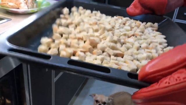 Мой муж готовит салат «цезарь» смотреть онлайн