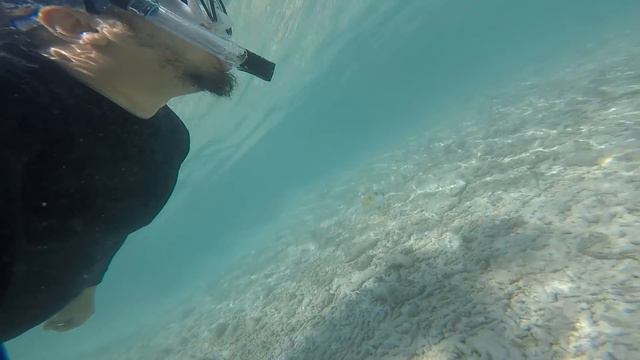 Ep8: Trip to Rashdoo Island, Maldives Year 2017. A throwback video travel. Part 1 смотреть онлайн
