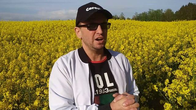 Как выйти достойно из ситуации, если баба обламывает!!! смотреть онлайн